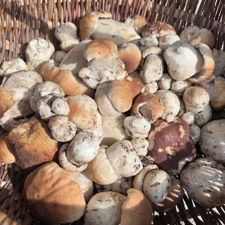 Appartamento Charming By The River Uscie Gorlickie