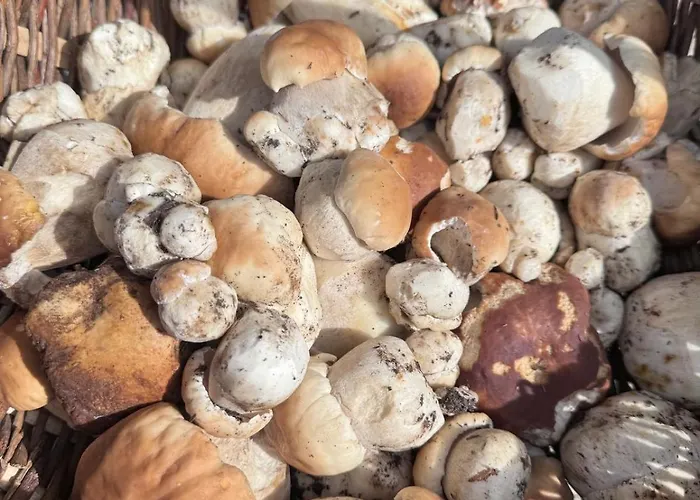 Apartament Charming By The River Uscie Gorlickie